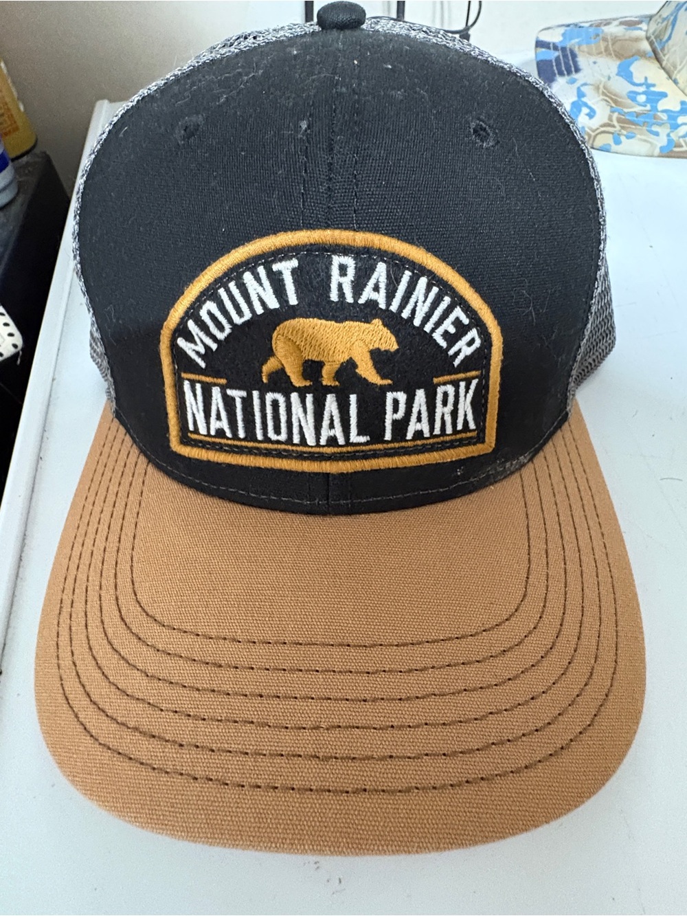 Mount Rainier national park SnapBack hat